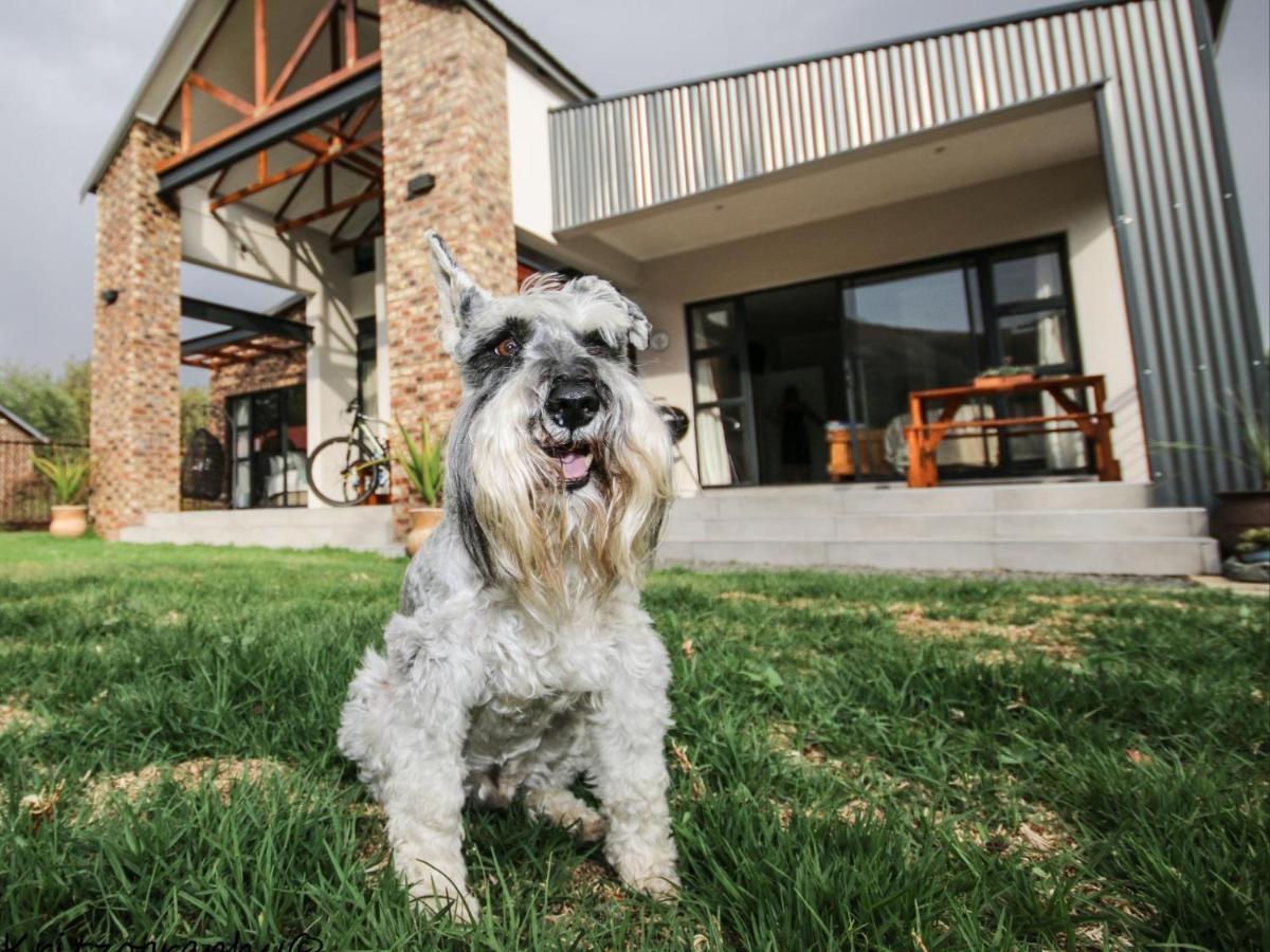 Apartamento The Stoke House Clarens Exterior foto